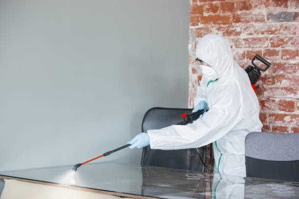 Mold Odor Removal Services in Middletown, DE