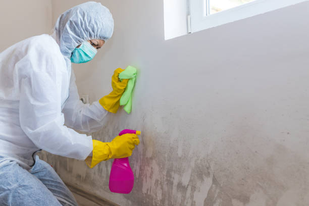 Asbestos and Lead Testing During Mold Inspection in Middletown, DE